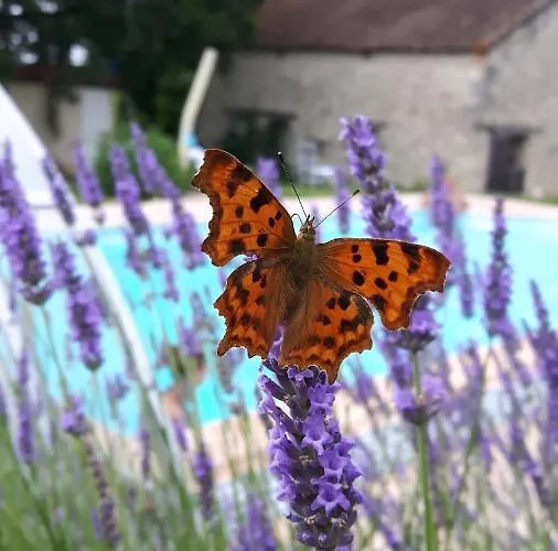 Maison De Tissendie 펜션